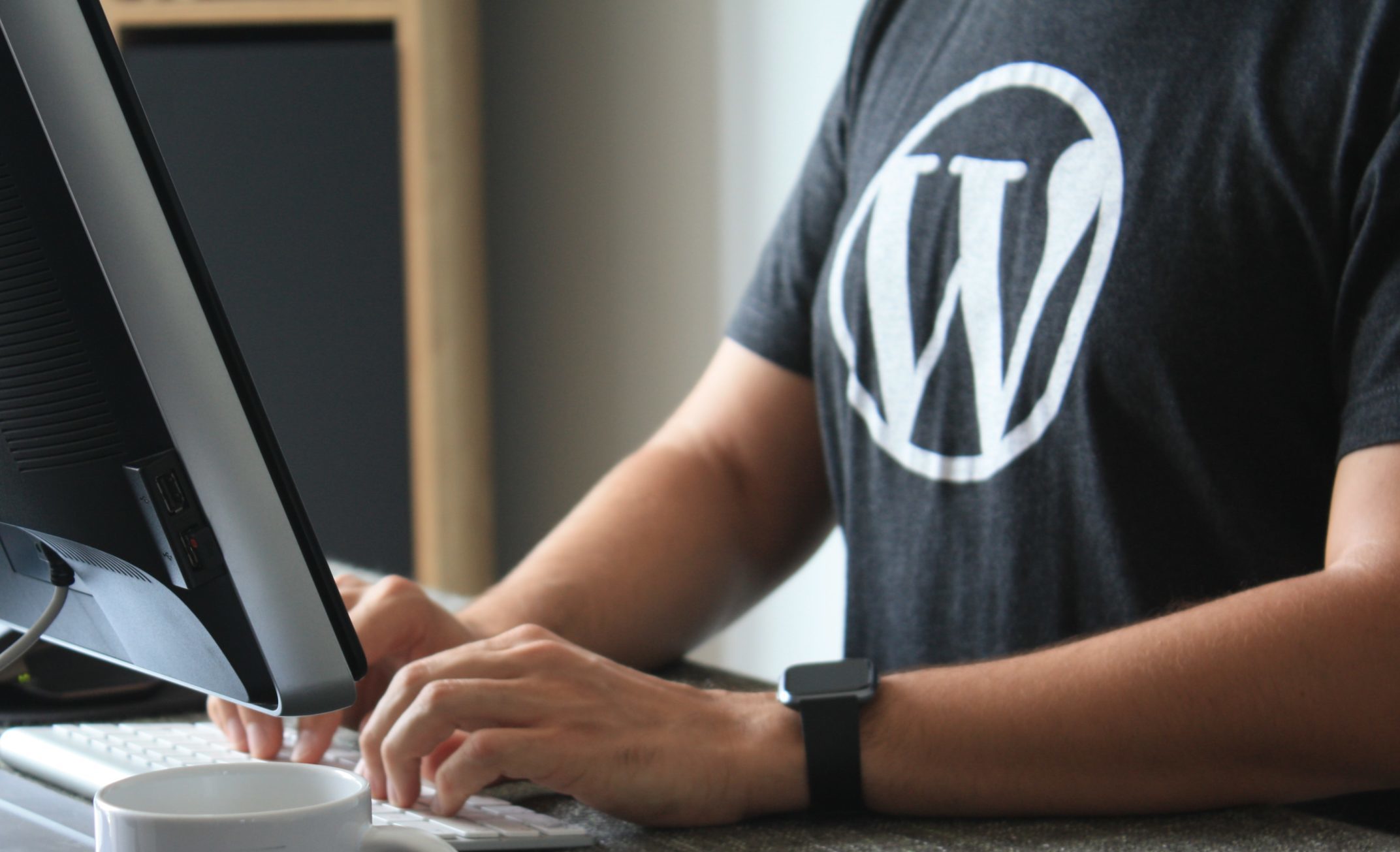 Wordpress Entwickler